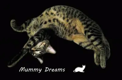 Mummy 1 jigsaw puzzle