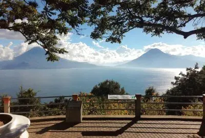 פאזל של flores del campo