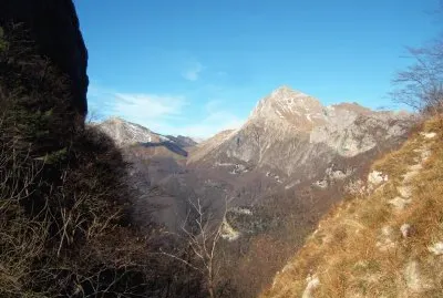 M.PANIA (APUANE)