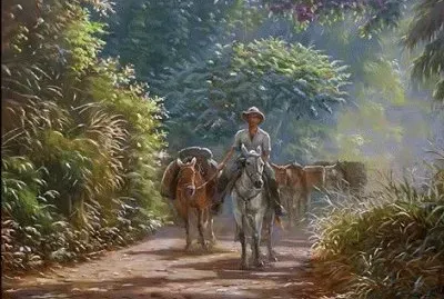 JR 296
