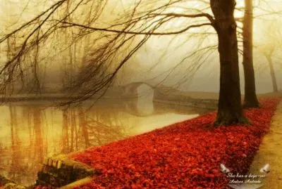 naturaleza