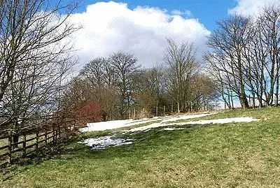 A Little Snow jigsaw puzzle