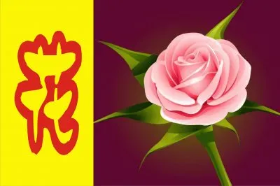 èŠ±åœ– jigsaw puzzle