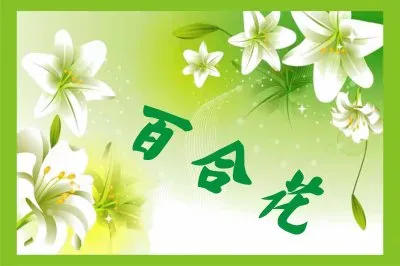 ç™¾åˆèŠ± jigsaw puzzle