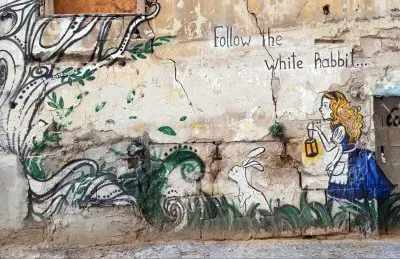 פאזל של White rabbit