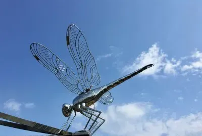 Dragonfly Sculpture, Elstead