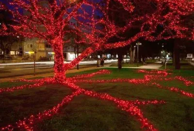 פאזל של imagem