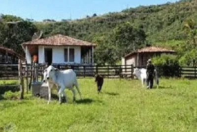 JR 341