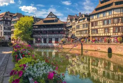 Francia Alcasia