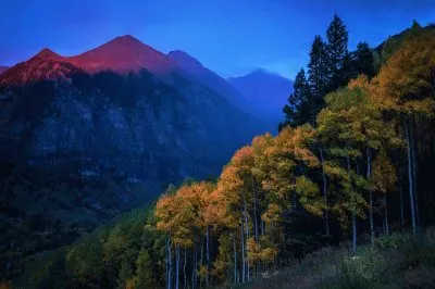 night jigsaw puzzle