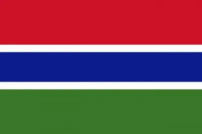 Gambia Flag