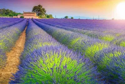 very colorful