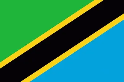 Tanzania Flag