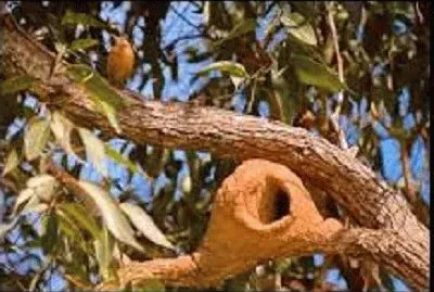 JR 356 jigsaw puzzle