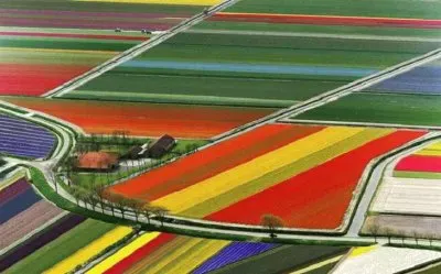 naturaleza jigsaw puzzle
