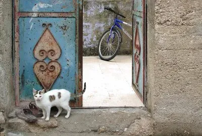 Gate