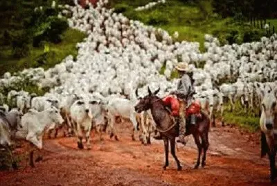 JR 360 jigsaw puzzle