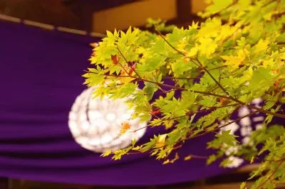 פאזל של imagem