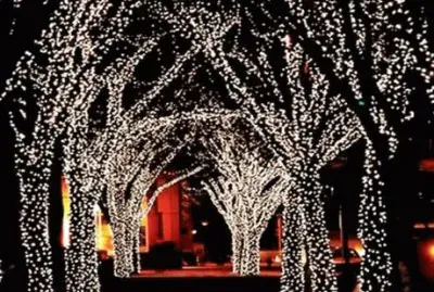 פאזל של imagem