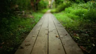 Caminho jigsaw puzzle
