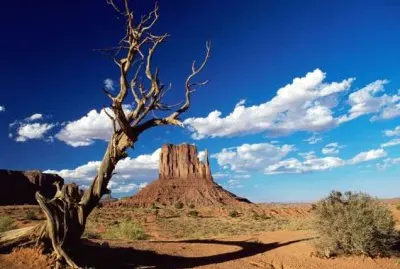 imagem jigsaw puzzle