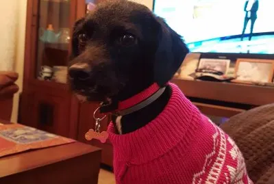 lola