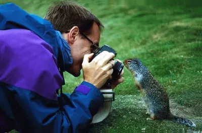 primer plano jigsaw puzzle