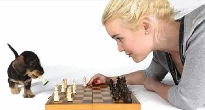 juego ciencia jigsaw puzzle