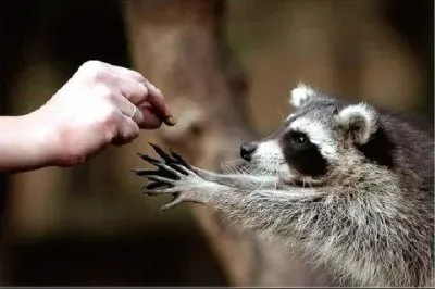 AMISTAD jigsaw puzzle