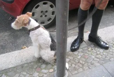 Black socks