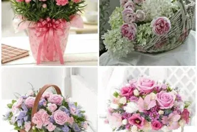flores