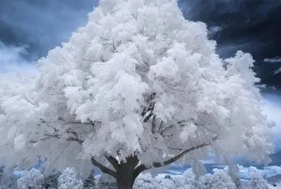 imagem jigsaw puzzle