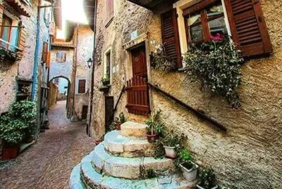 Tremosine