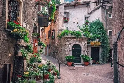 Tremosine
