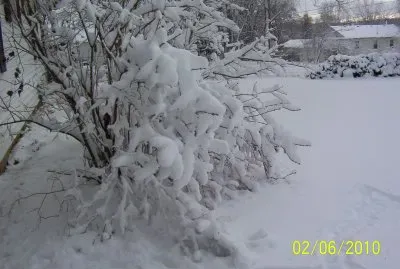 פאזל של Snowy day