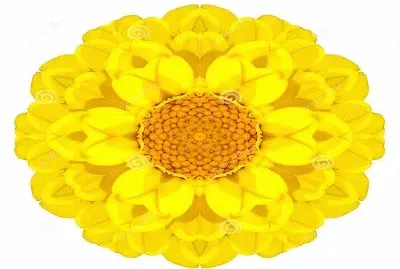 2423