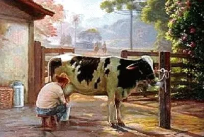 JR 452 jigsaw puzzle