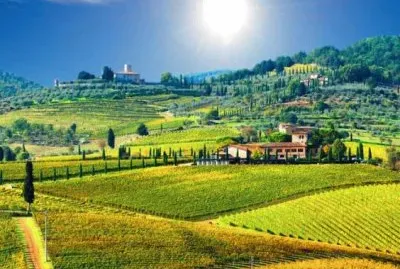 naturaleza jigsaw puzzle