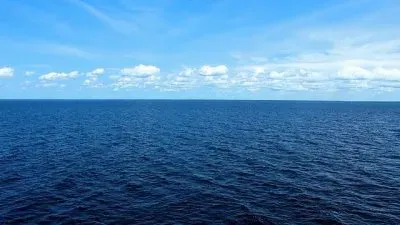 A008
