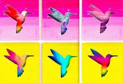 Oiseaux