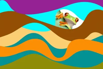 Grenouille jigsaw puzzle