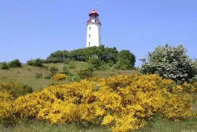 NATUREZA