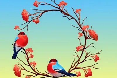 Oiseaux