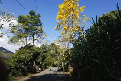 PAISAJE ANTIOQUIA
