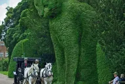 imagem jigsaw puzzle