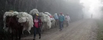 Rumbo a Guane