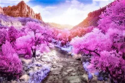 spring #223 jigsaw puzzle