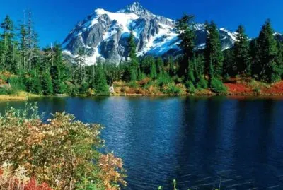 naturaleza jigsaw puzzle