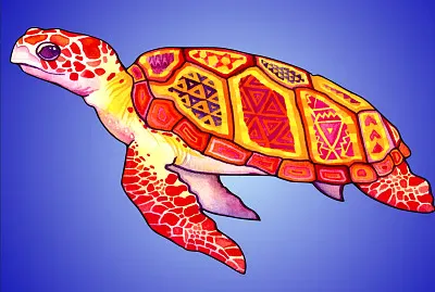 Tortue jigsaw puzzle