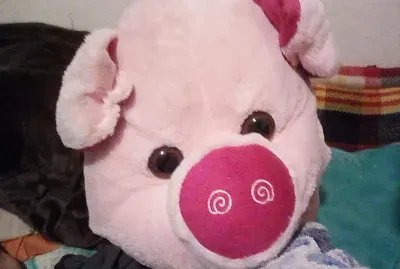 Cochito rosa